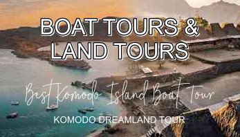 BOAT TOURS AND LAND TOURS