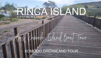 Komodo Boat Tour - Rinca Island - Komodo Dreamland Tour