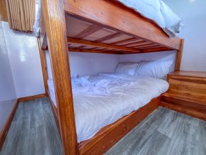 shared cabin tunas bahari komodo 2