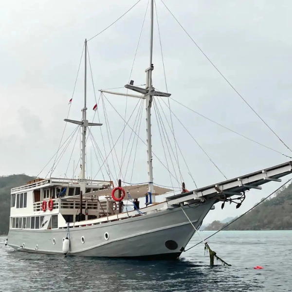 lanakila cruise komodo dreamland tour - 4