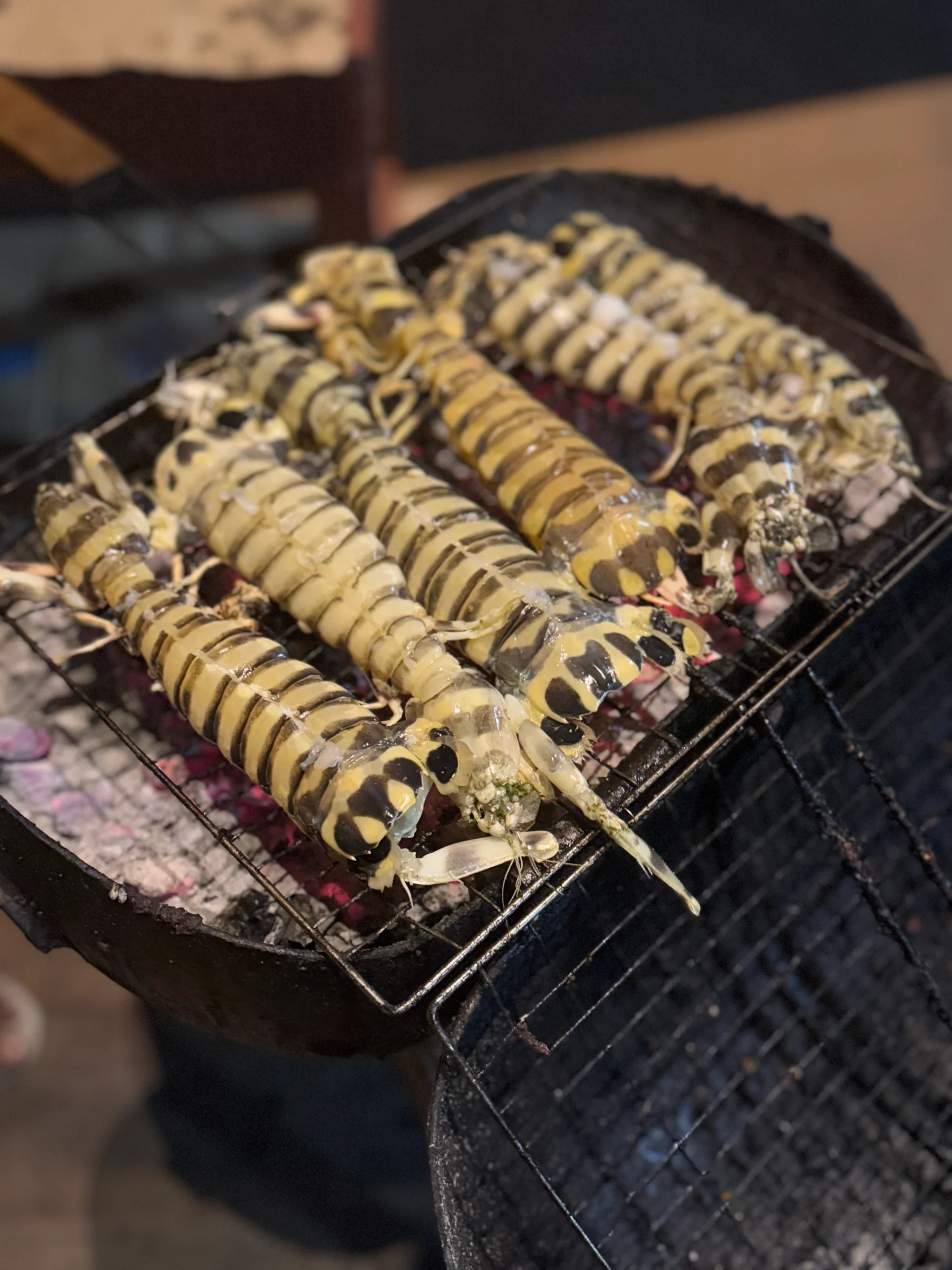 Menu Princess Nabila Komodo Dreamland Tour 14