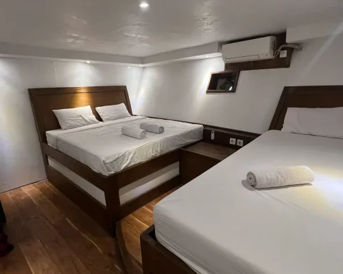 Panrita phinisi komodo Liveaboard - Superior Cabin Komodo Dreamland Tour 3