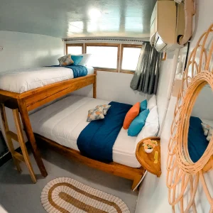 Shared cabin 3 pax main deck Bombana 1 boat komodo komodo dreamland tour 1