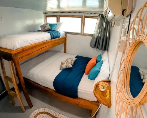 Shared cabin 3 pax main deck Bombana 1 boat komodo komodo dreamland tour 1