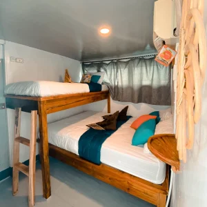 Shared cabin 3 pax main deck Bombana 1 boat komodo komodo dreamland tour 2