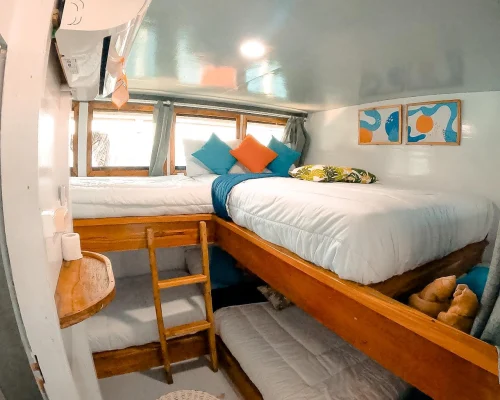 Shared cabin 6 pax main deck Bombana 1 boat komodo komodo dreamland tour 1