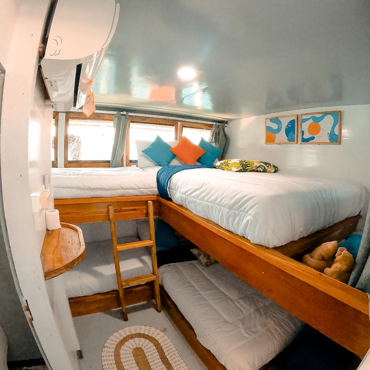 Shared cabin 6 pax main deck Bombana 1 boat komodo komodo dreamland tour 1