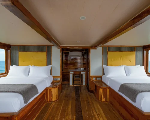 Aurea Cabin Naturalia Phinisi Boat Komodo Dreamland Tour 1
