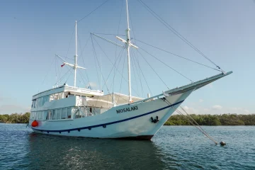 Mosalaki Phinisi – VIP Komodo Island Boat Tour & Private Charter Mosalaki Komodo liveaboard Dreamland Tour 8
