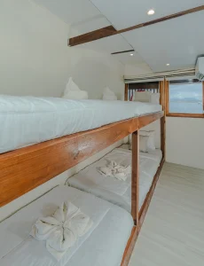 Shared cabin sora phinisi boat komodo dreamland tour 1