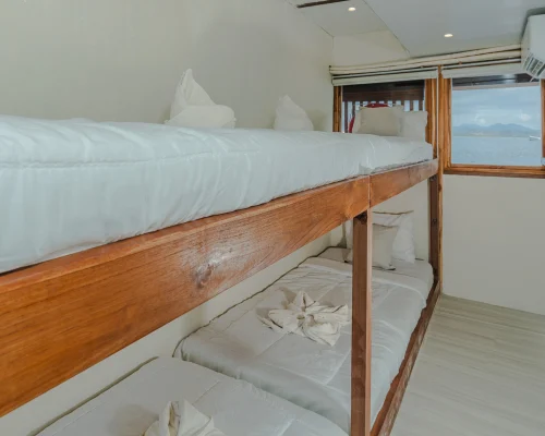 Shared cabin sora phinisi boat komodo dreamland tour 1