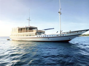 nalareya phinisi boat komodo dreamland tour 1