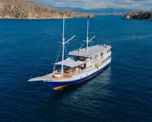 Bombana-2-Phinisi-Komodo-Komodo-dreamland-tour-1-1024x731 (1)