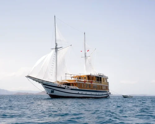 Catnazse Phinisi Komodo