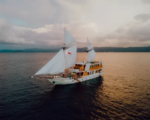 Gandiva-Phinisi-Komodo-Dreamland-Tour-1 (1)