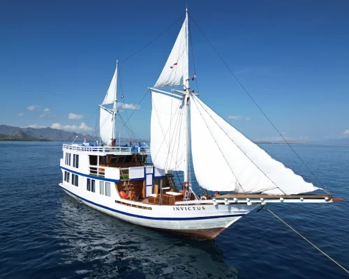 Invictus phinisi komodo 1