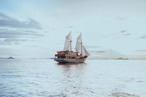 Elbark cruise phinisi Komodo Dreamlabd Tour 11
