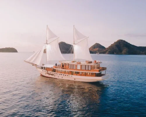 Elbark cruise phinisi komodo